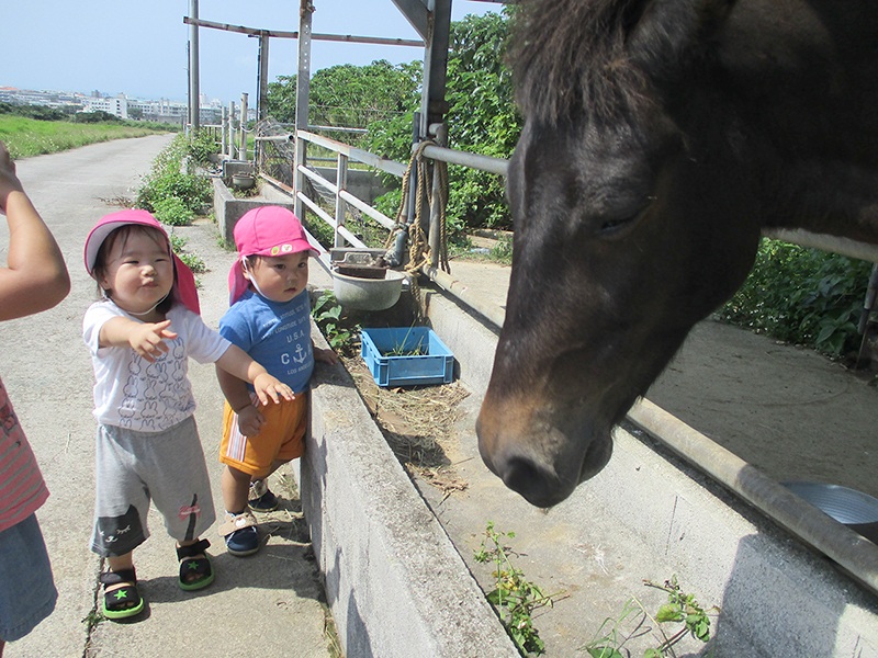 社会福祉法人　八重山海邦福祉会